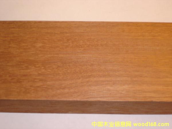 c(din)鿴ľB ľ⽨ĵԔ(x)Y