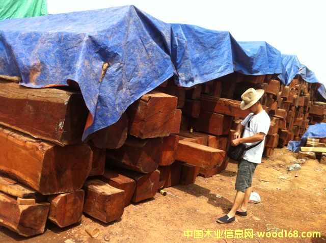 ԭa(chn)ϓ뻨ֱNԔ(x)B