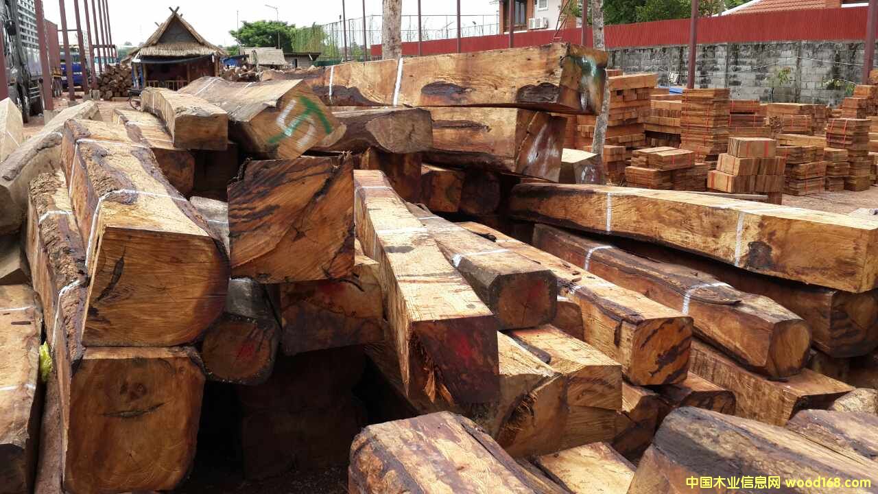 L(zhng)ڹ(yng)ϓ뻨棨̴Ԕ(x)B