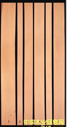 S  ஔڇAA ľ pɰԔB