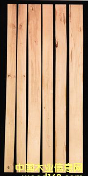 COLľɰɫ23mmԔB