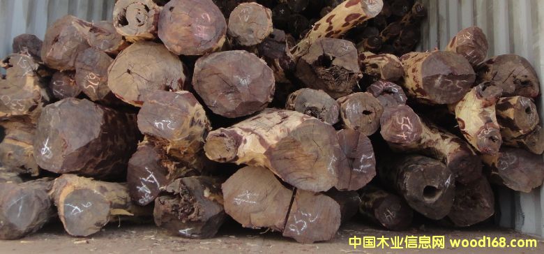 血檀的詳細介紹