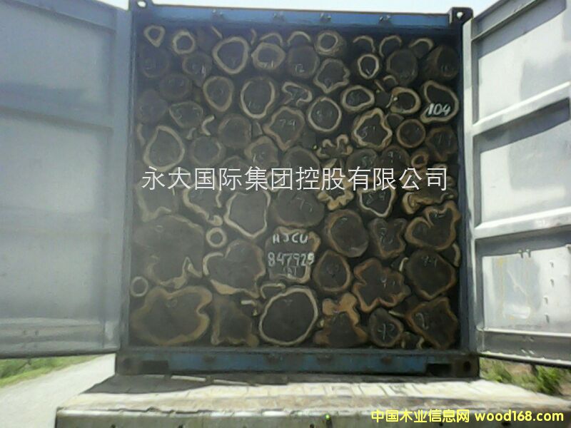  Ӽ{ - ľ/Ϲ̴/S̴/̴ԔB