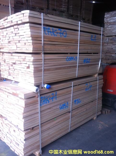 櫸木的詳細介紹