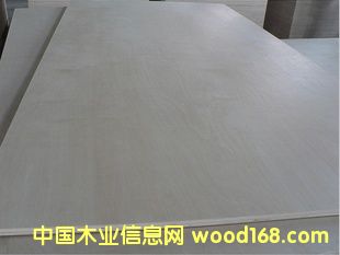 E0,E1Ӱ壬ߙnƵҾ߰壬9zϰ