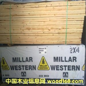 c(din)鿴L(zhng)ڹ(yng)ôɰĿ ŴDƬ