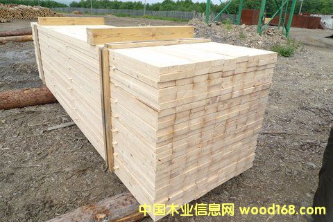 c(din)鿴SֱN(xio)_˹Ɍ(sh)ľĽϷŴDƬ