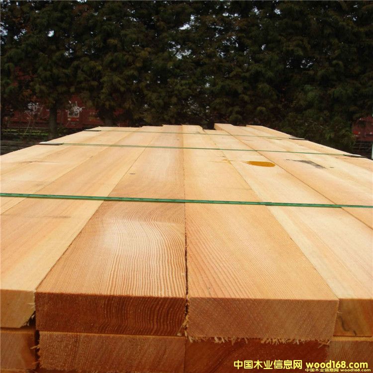 LڹFɼɰĽϼҾߟo(ji)ďSֱN