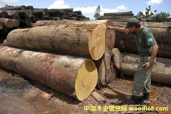 c鿴MڼҾߵҪעϺCPеԔY