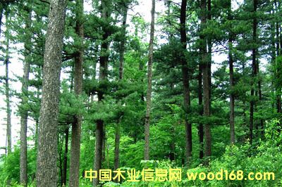 c鿴ҪIMڼҾ߈PzϺCPеԔY