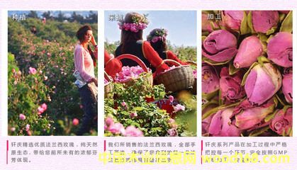 c鿴MrҪЩCPôȡϺCPԔY