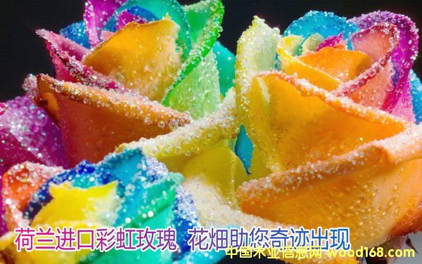 c鿴ϺHMڈP˾ϺC󻨻܈PԔY