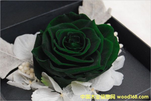 c鿴MڈPҪЩCYϺCPеԔY