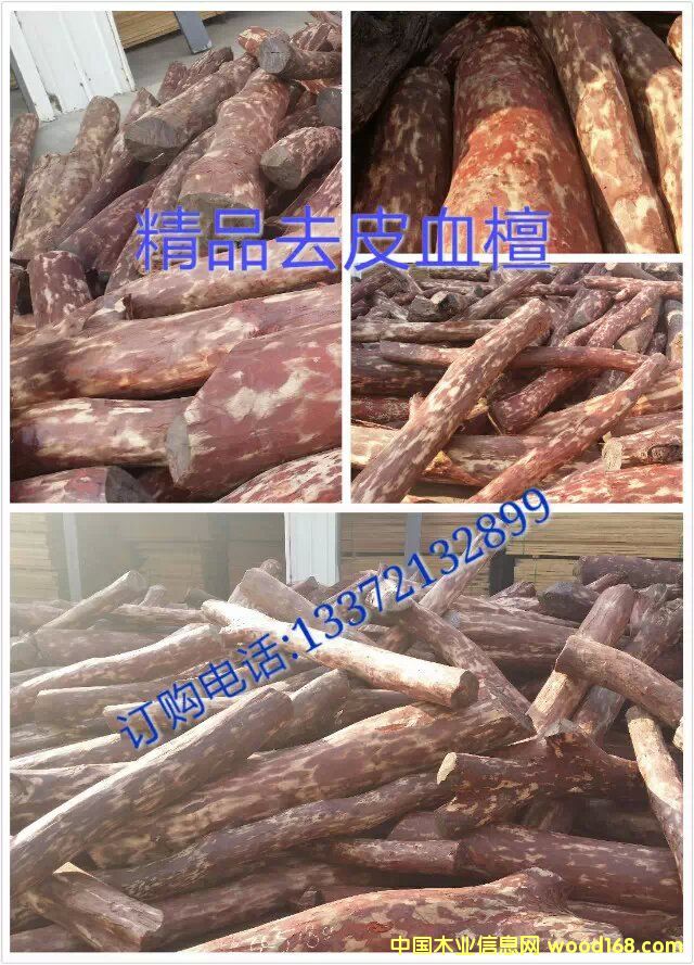 c(din)鿴ٝȁѪ̴ŴDƬ