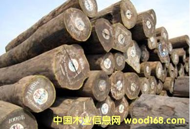 柚木王的詳細(xì)介紹