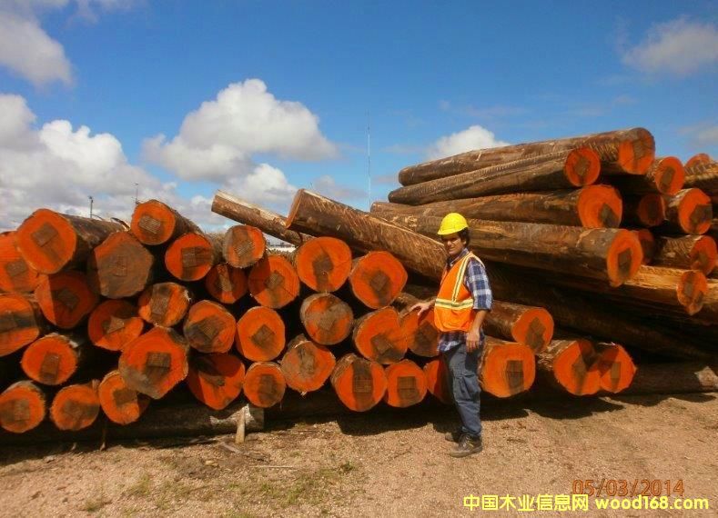 �����t����2