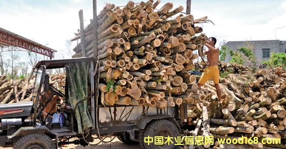 Ĳrľ޹˾ُ(gu)ľ pٞ(zi)pʧ