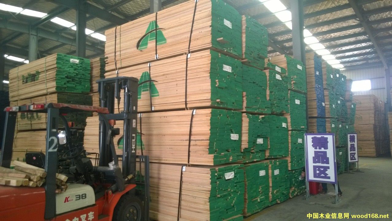 紅橡的詳細介紹