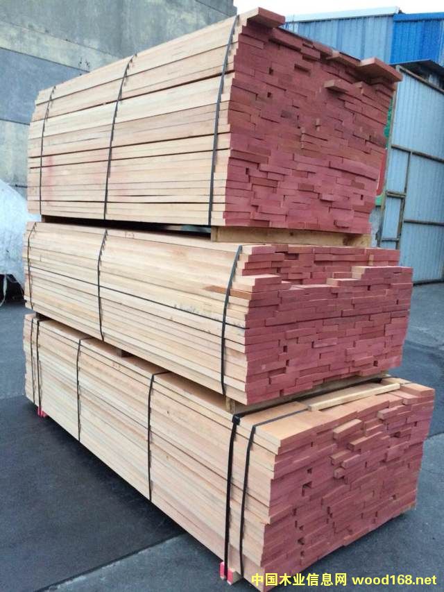 櫸木的詳細介紹