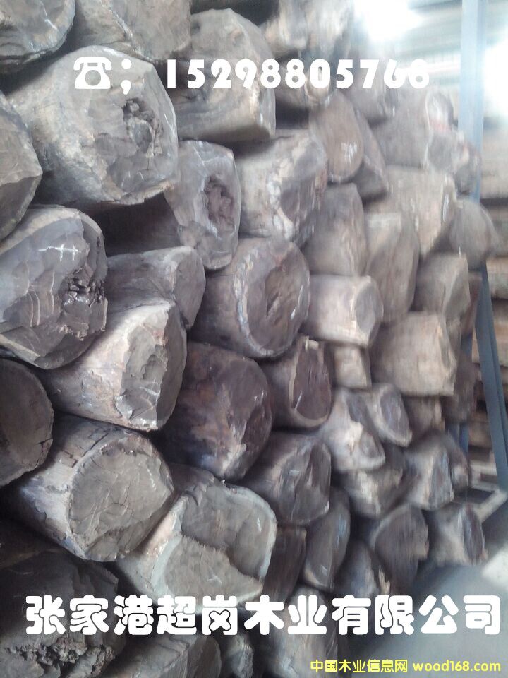 ٝȁѪ̴  Ҹ  ľѪ̴ ԔB