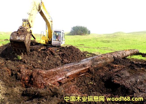 m5fꎳľ ھF(xin)ԔB