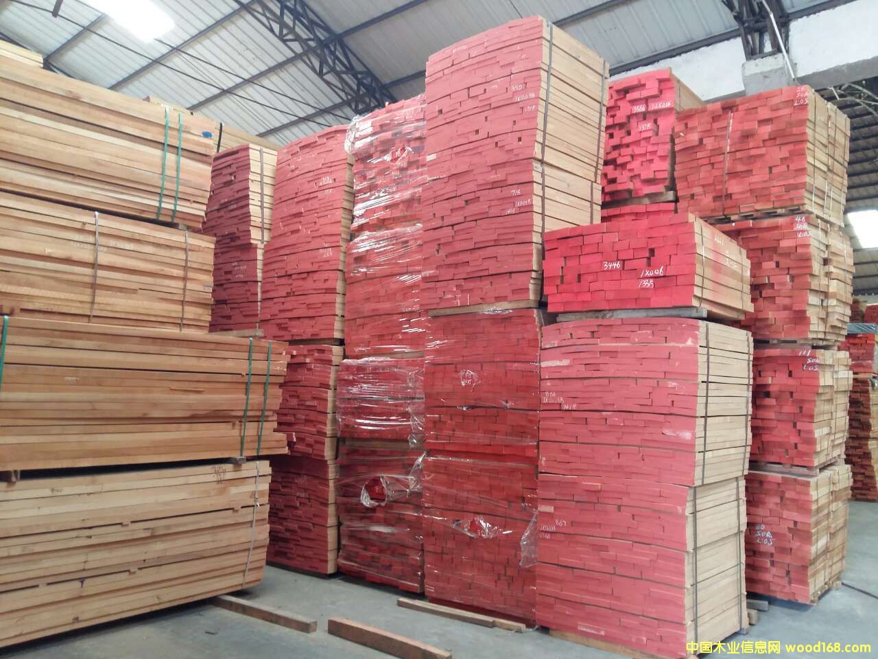 歐洲櫸木的詳細介紹