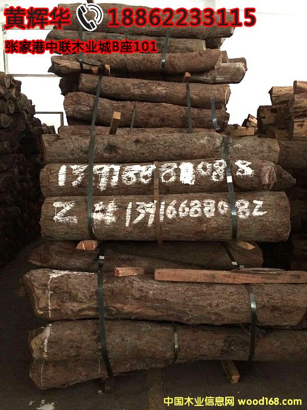 ٝȁѪ̴F؛260󏽸͸ܵԔB