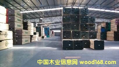 白橡木的詳細(xì)介紹