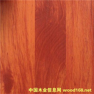 [] Sҷɽ(yng)ĥľyذ l(f)Q(mo)ڷHDFͺľذ