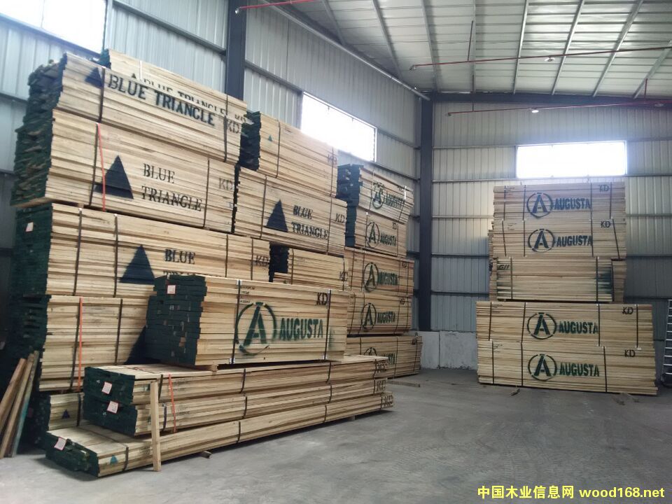 黃楊的詳細(xì)介紹