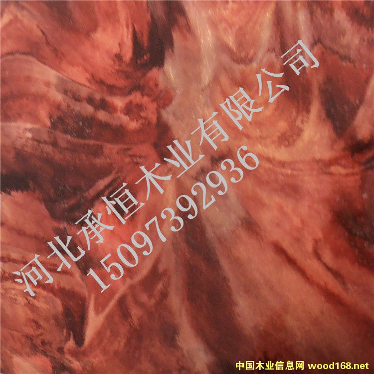 [] ӱкľI(y)иܶȰbϱ|(zh) SֱN