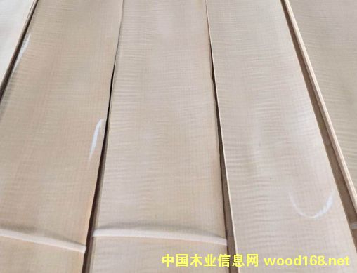 楓影的詳細介紹