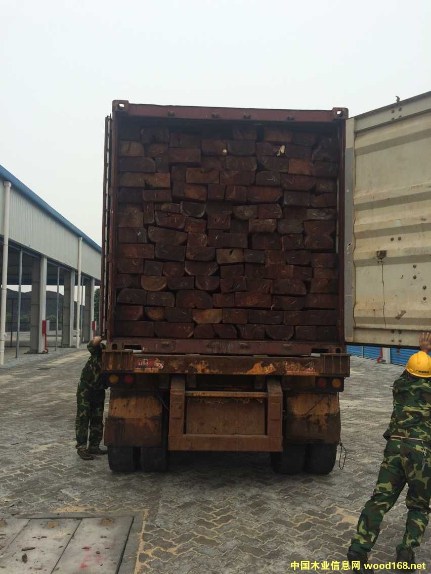 血檀的詳細(xì)介紹