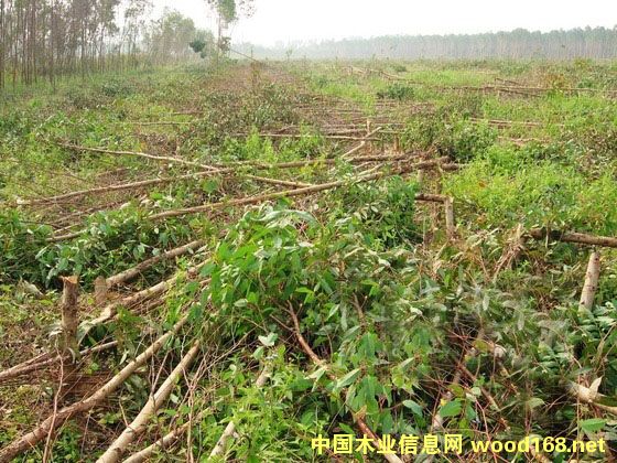 ֦/~/ľ֦/ľ~/ľU/ľ/ľ~/~Ԕ(x)B