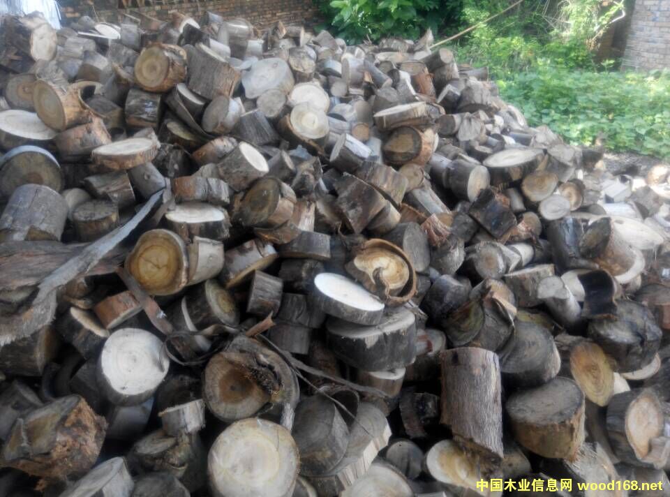 ߅/ľ߅/ľ/ľK/|(zh)ȼϵԔ(x)B