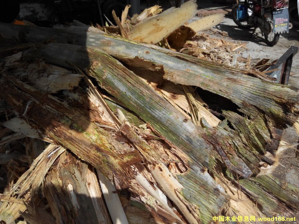 ľƤ/Ƥ/ľƤ/Ƥ/|(zh)ȼϵԔ(x)B