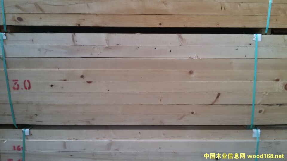 鐵杉的詳細(xì)介紹