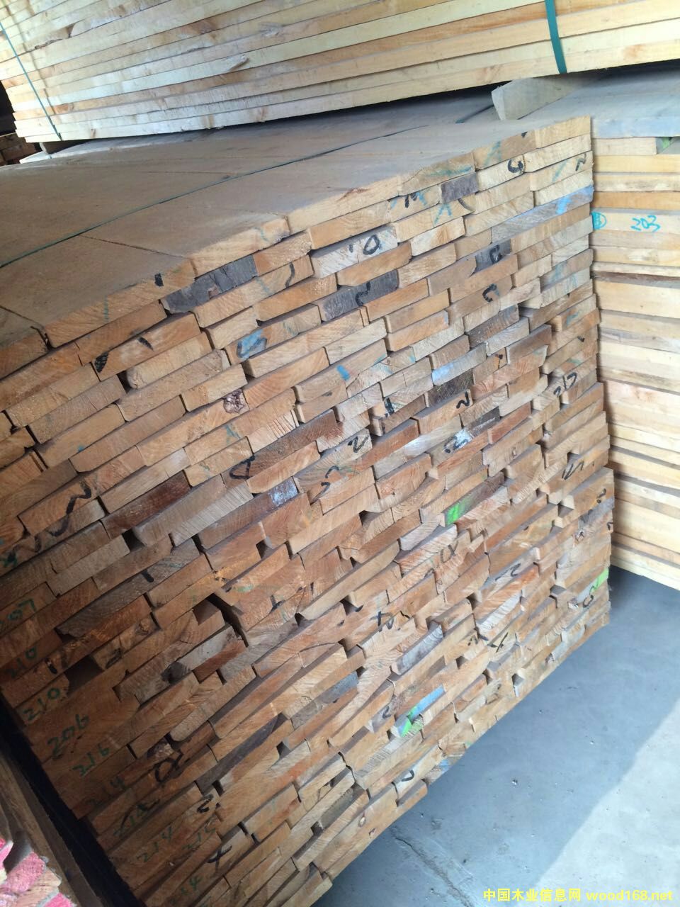 赤楊木的詳細介紹