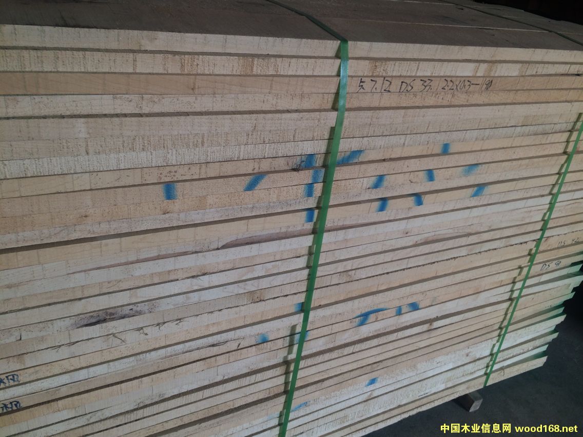 硬楓的詳細介紹