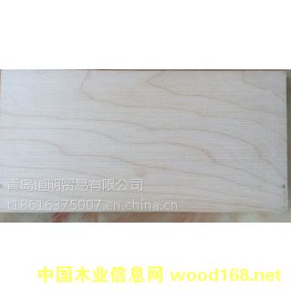 硬楓木的詳細介紹