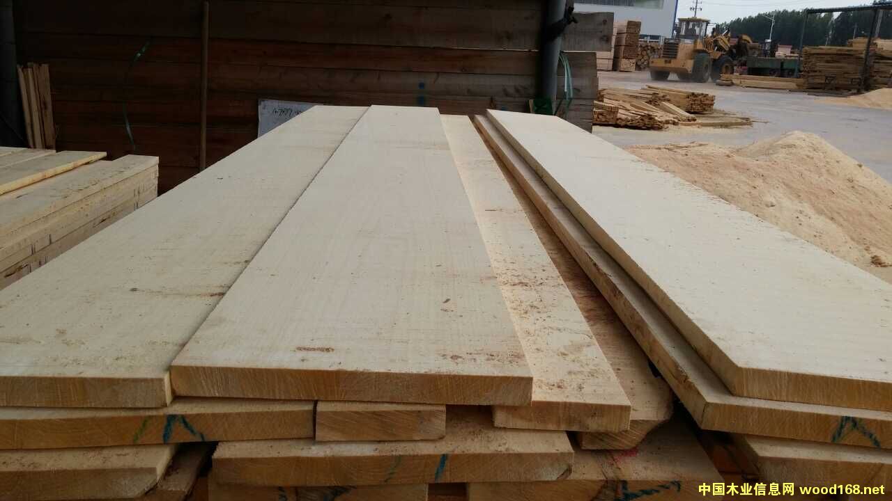 硬楓木的詳細介紹