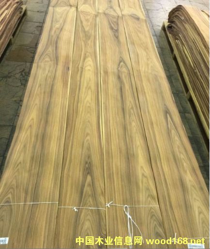 ֦ɽy50zȻľƤԔ(x)B