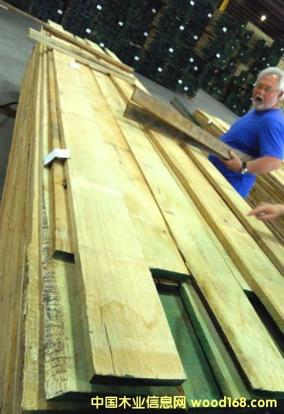 紅橡木的詳細介紹