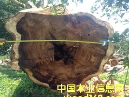 黃檀的詳細介紹