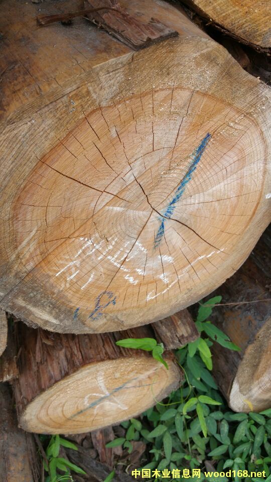 �������ԭľ