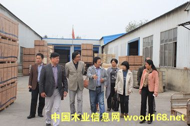 Ͼ֘I(y)WShOǽֵľI(y)I(y)l(f)չ