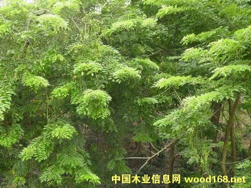 p{3g·Nֲӡ̴,S̴ȘN1410f