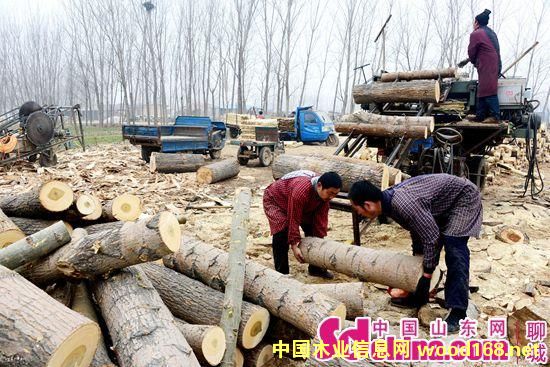 ƽh(zhn)l(f)չr(nng)ľļӹ׌r(nng)o(w)e