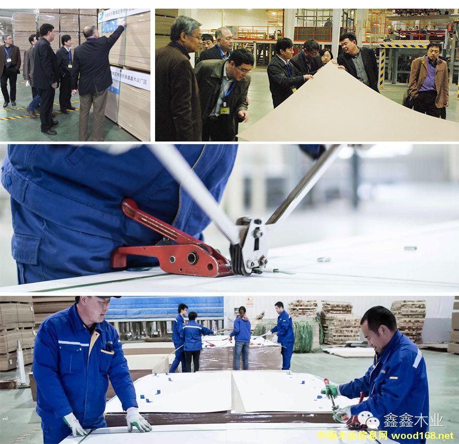 ӱľI(y)ʿʷSteinemannɰC(j)