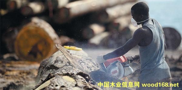 ľĴIѲҕ֮---Ї֘IFAľIɷݹ˾